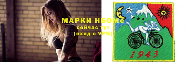 гашик Аркадак