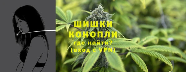 гашик Аркадак