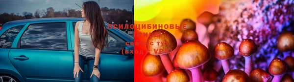 гашик Аркадак