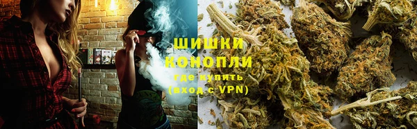 гашик Аркадак