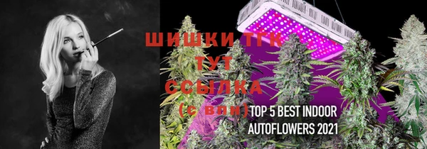 гашик Аркадак
