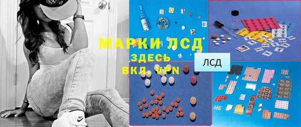 гашик Аркадак