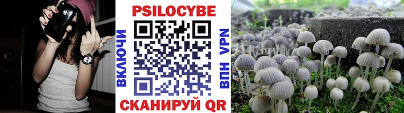 Купить где  Ясный  Галлюциногенные грибы прущие грибы 