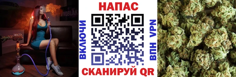 Бошки марихуана ГИДРОПОН  Купить закладки  Ясный 